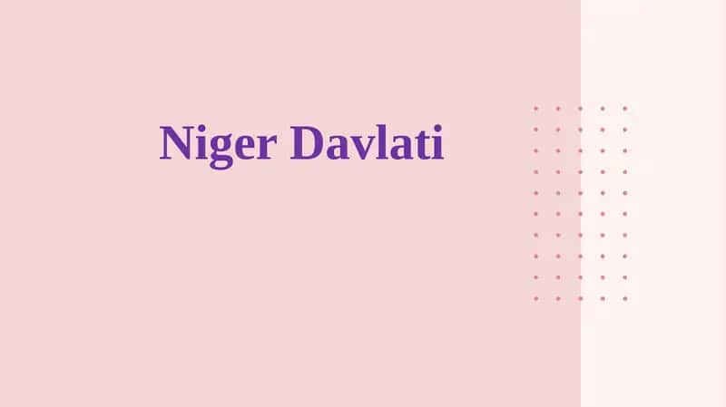 Niger Davlati