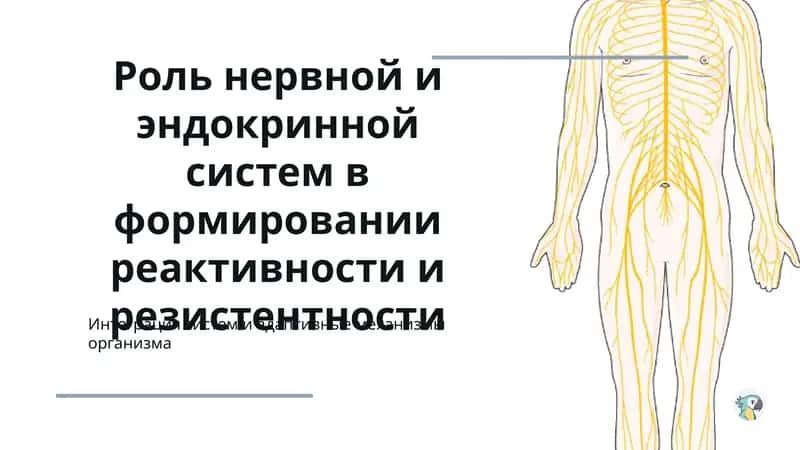 Роль нервной и эндокринной систем в формировании реактивности и резистентности