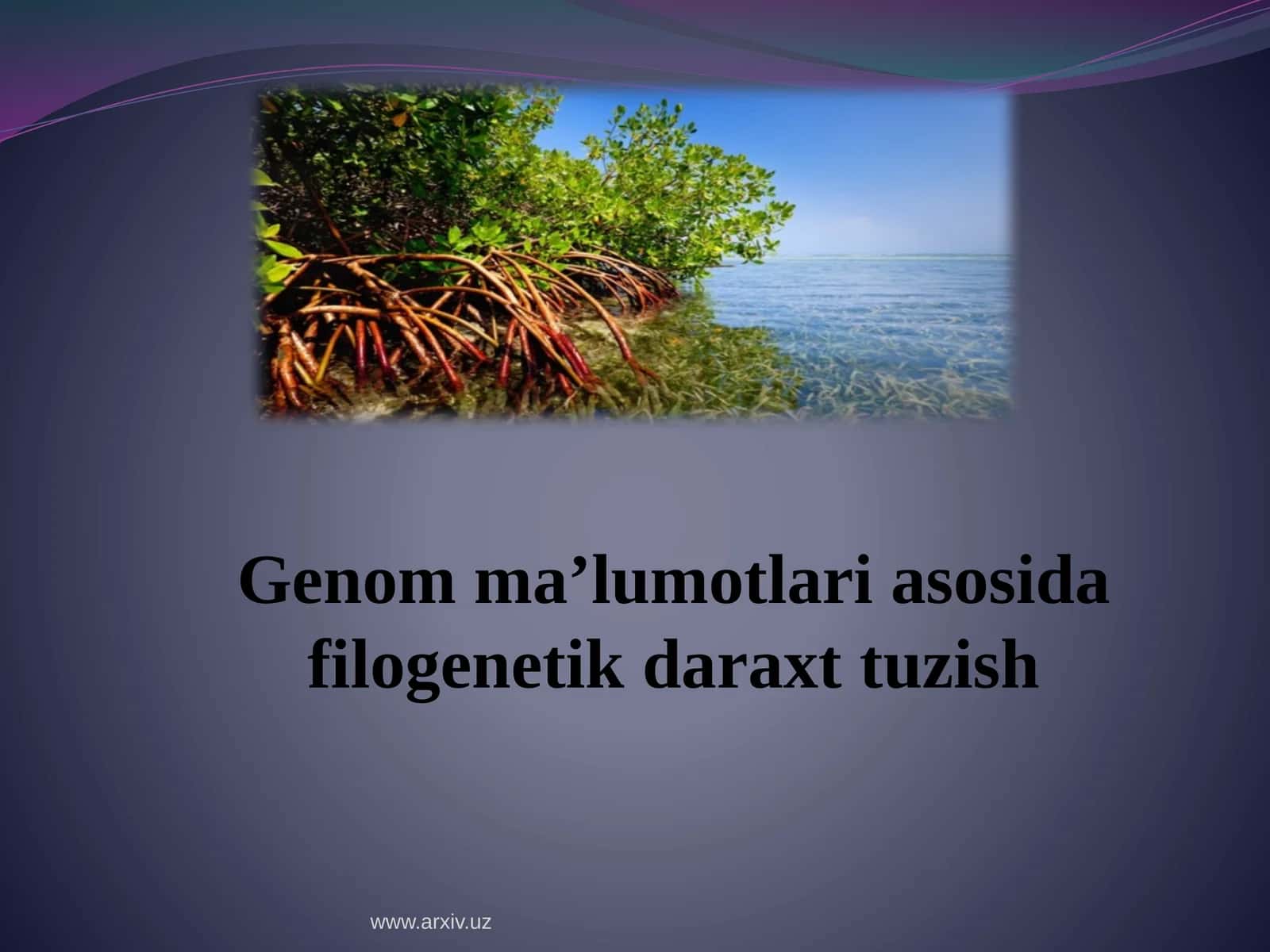 Genomma’lumotlari asosida filogenetik daraxt tuzish
