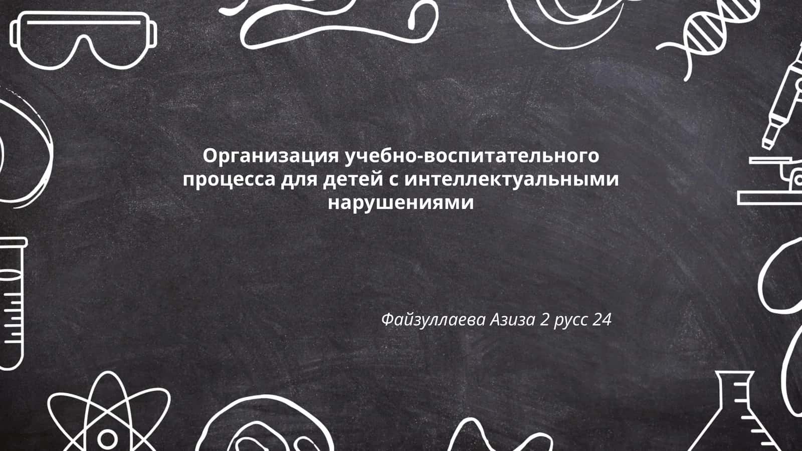 Организация учебно-воспитательного процесса для детей с интеллектуальными нарушениями