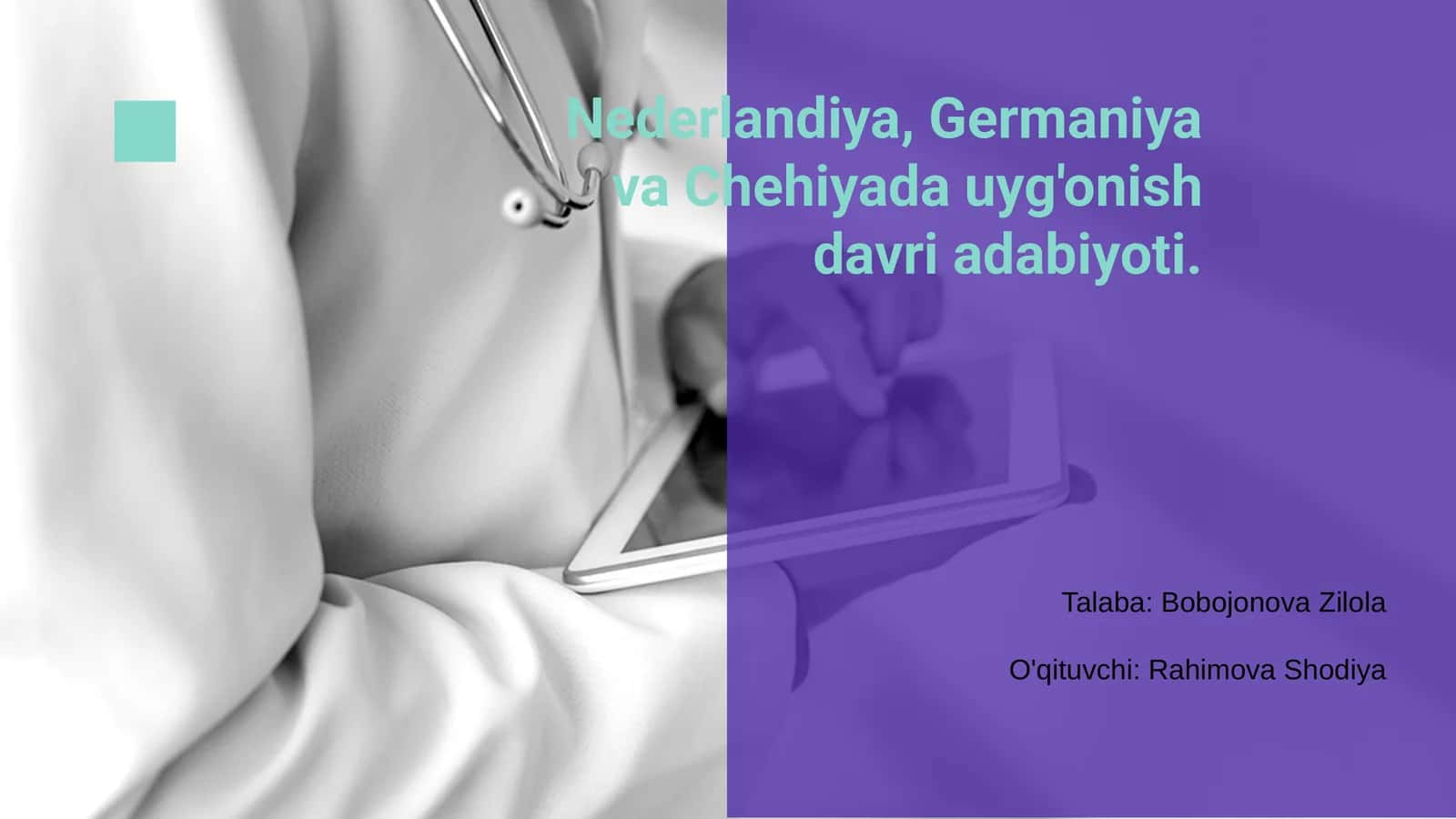Nederlandiya, Germaniya va Chehiyada uyg'onish davri adabiyoti