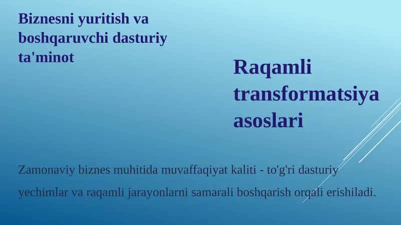 Biznesni yuritish va boshqaruvchi dasturiy ta'minot