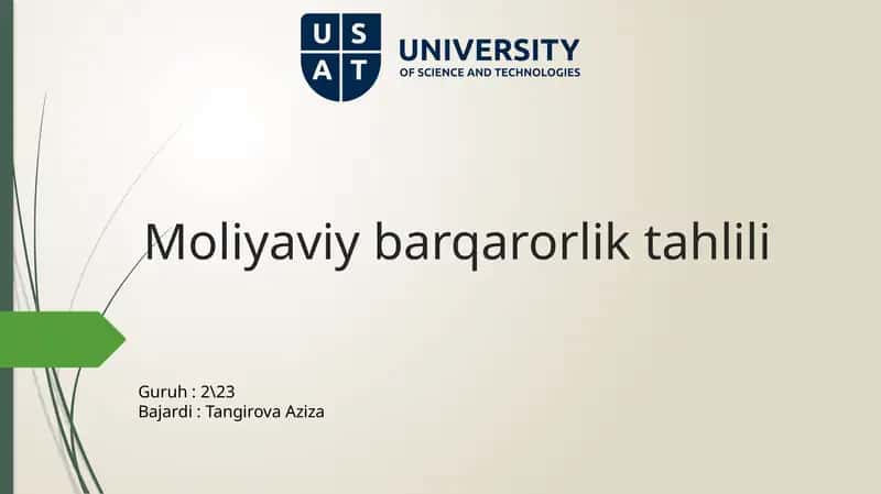 Moliyaviybarqarorliktahlili