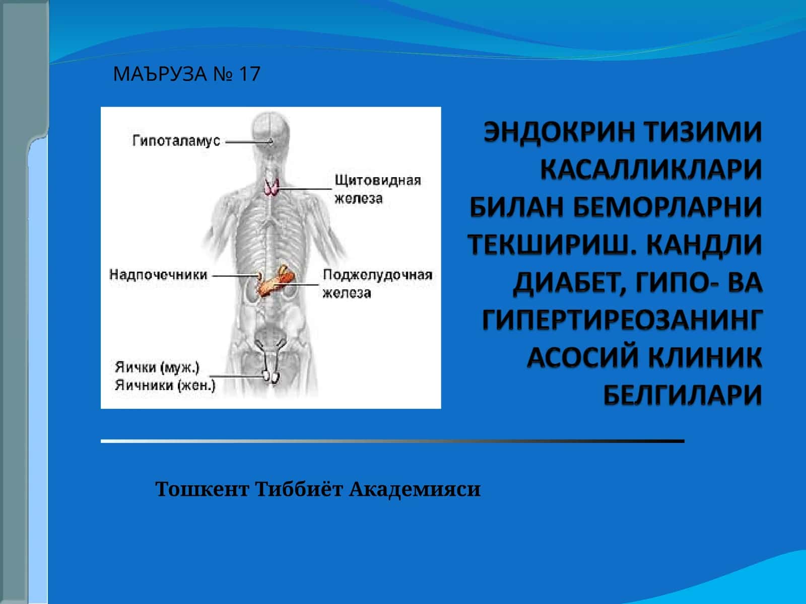 МАЪРУЗА № 17