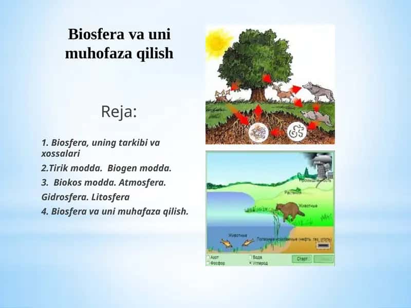 Biosferavaunimuhofazaqilish