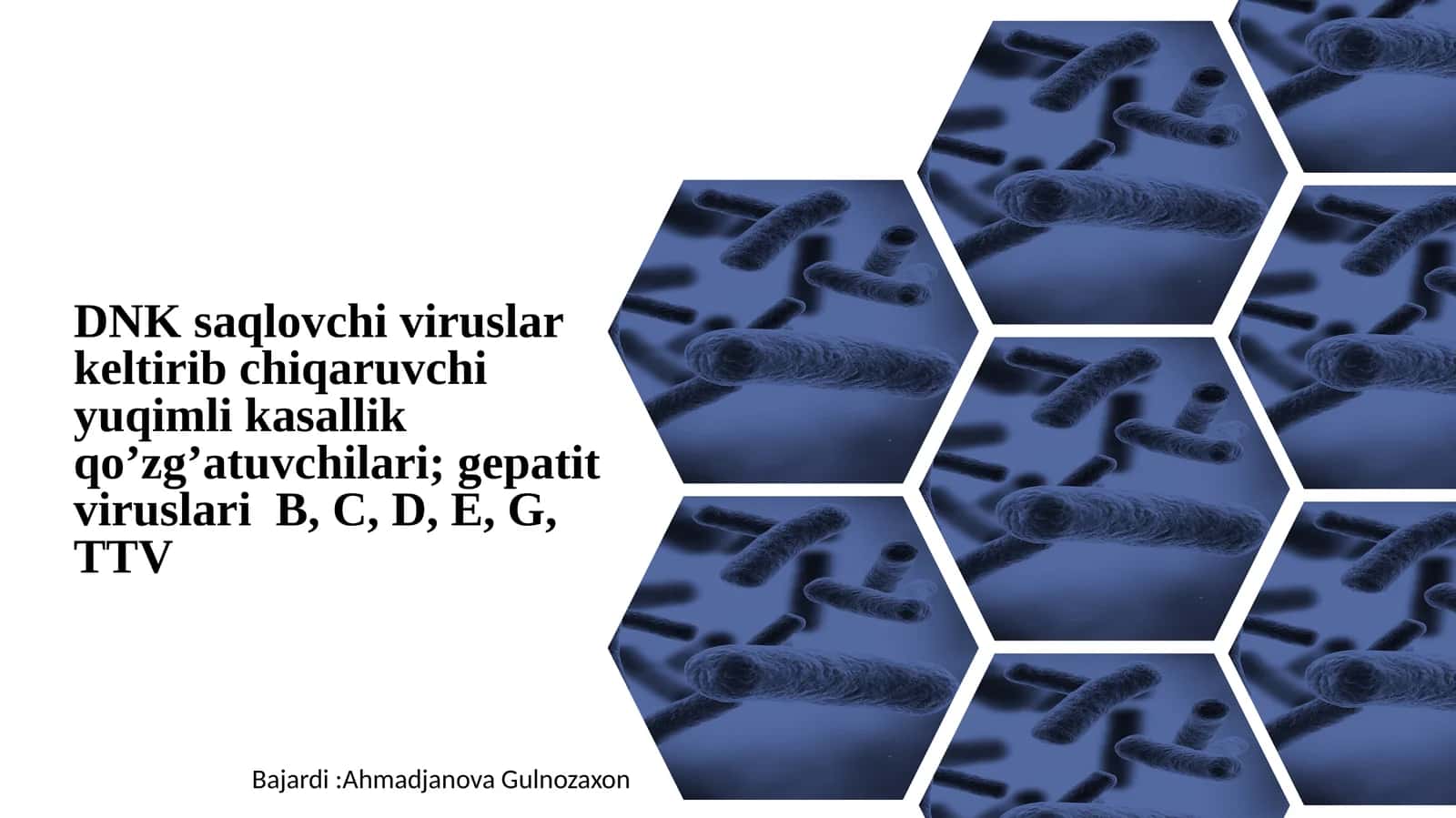 DNK saqlovchi viruslar keltirib chiqaruvchi yuqimli kasallik qo’zg’atuvchilari; gepatit viruslari B, C, D, E, G, TTV