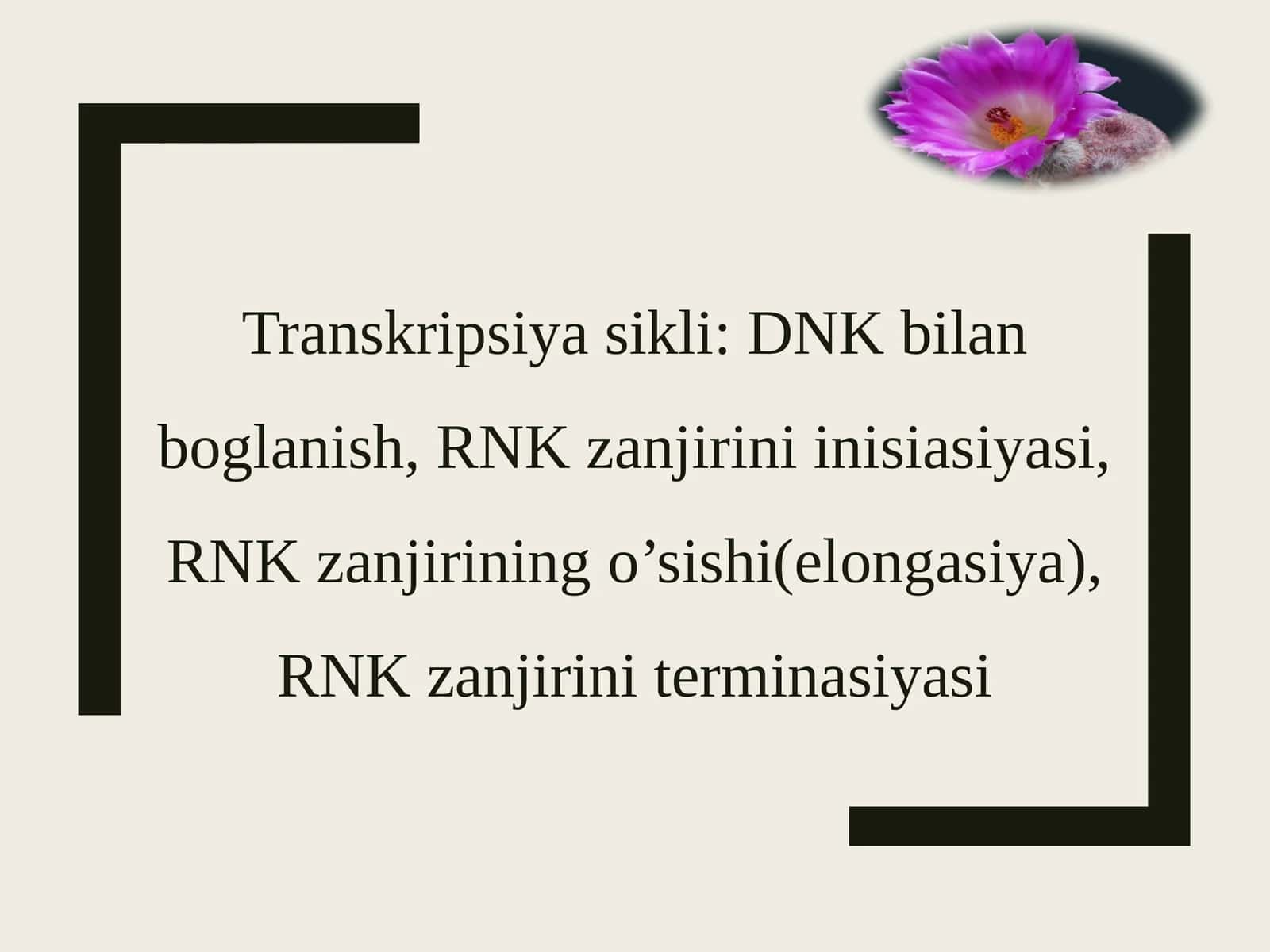Transkripsiya