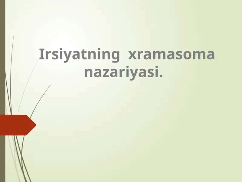 Irsiyatning xramasoma nazariyasi