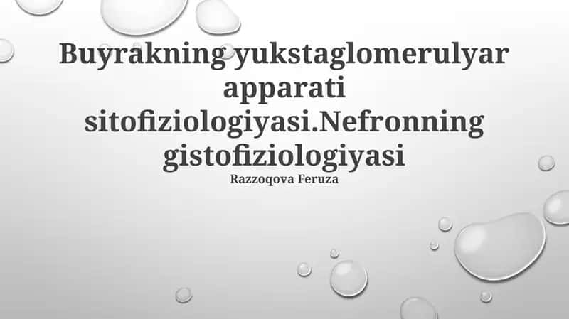 Buyrakning yukstaglomerulyar apparati sitofiziologiyasi.Nefronning gistofiziologiyasi