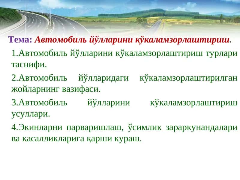Автомобиль йўлларини кўкаламзорлаштириш