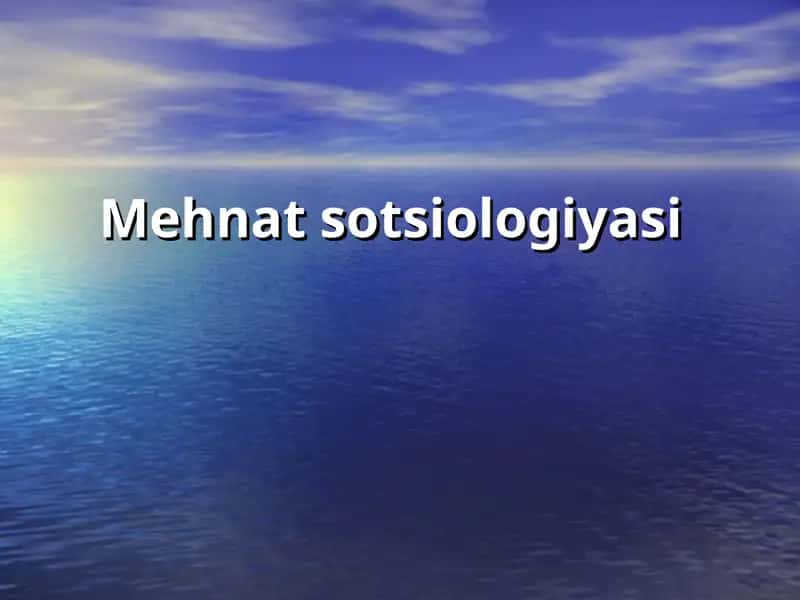 Mehnat sotsiologiyasi