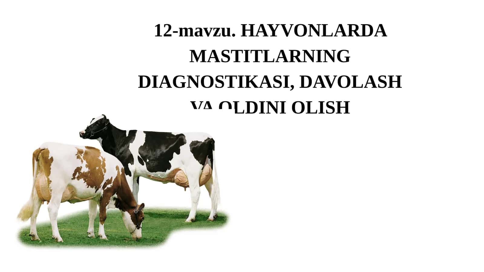 HAYVONLARDA MASTITLARNING DIAGNOSTIKASI, DAVOLASH VA OLDINI OLISH
