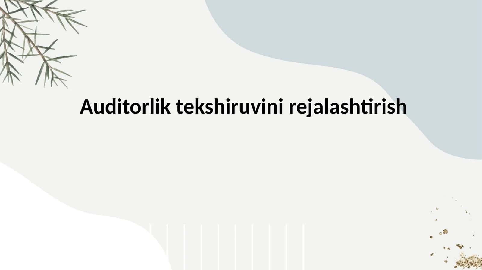 Auditorlik tekshiruvini rejalashtirish