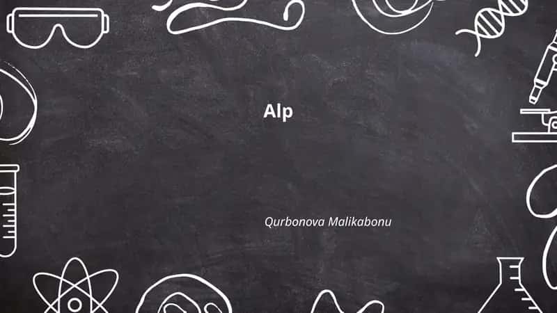 Alp