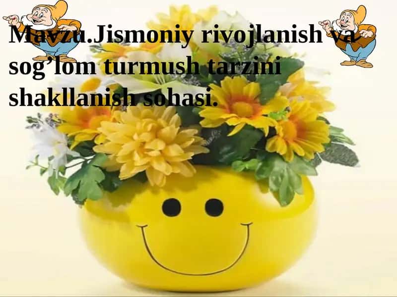 Jismoni yirvojlanish va sog'liq turmush tarzini shakllanish sohasi