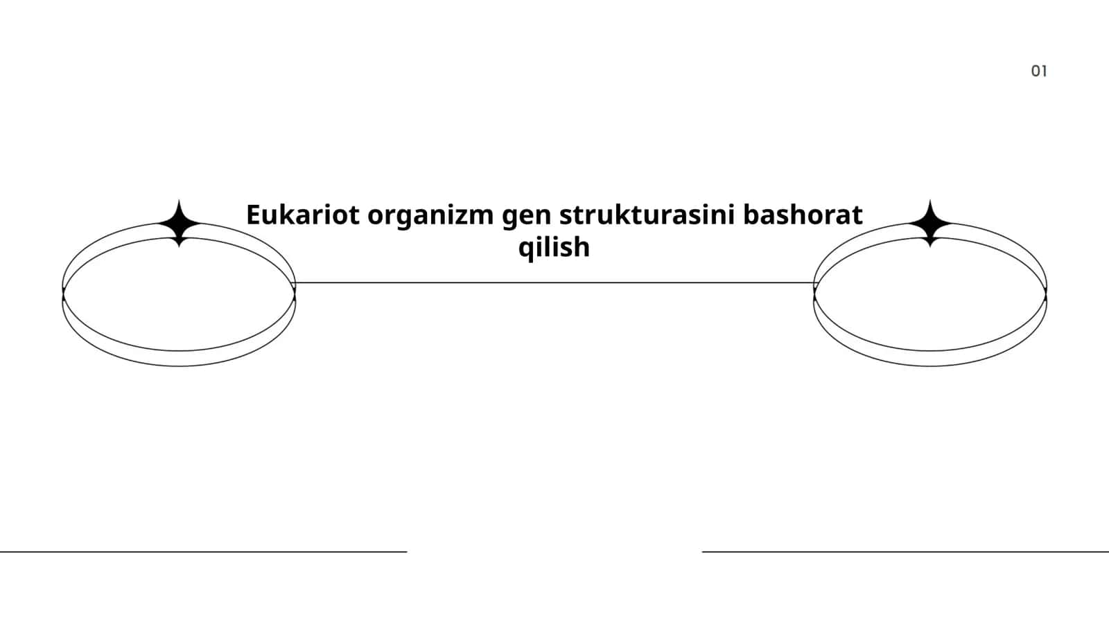 Eukariot organizm gen strukturasini bashorat qilish
