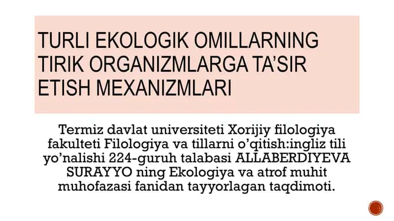 taqdimot