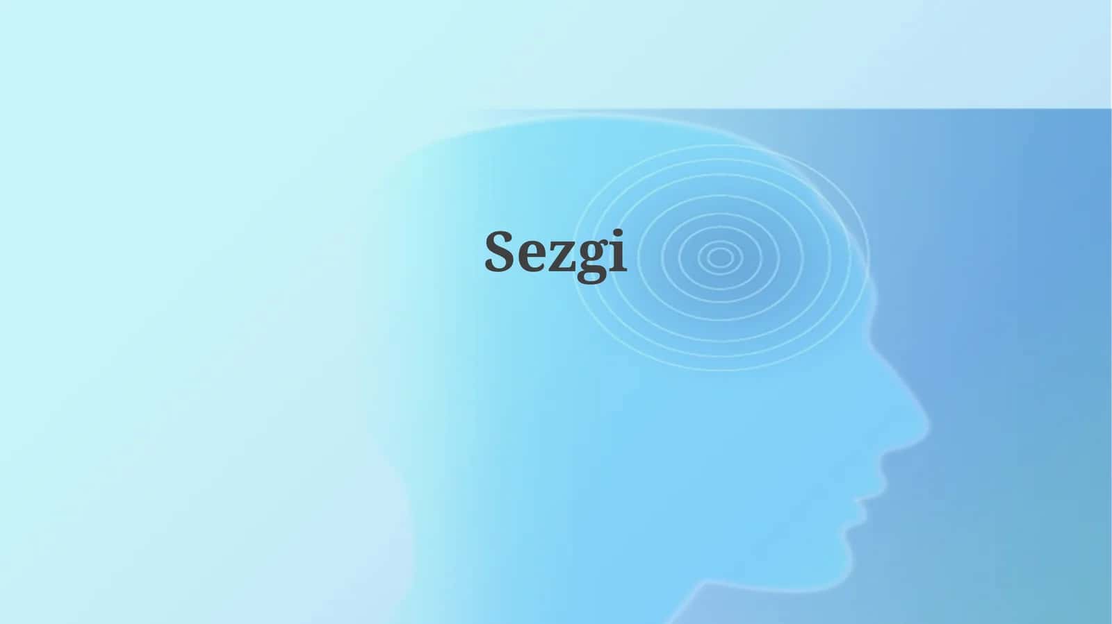 Sezgi