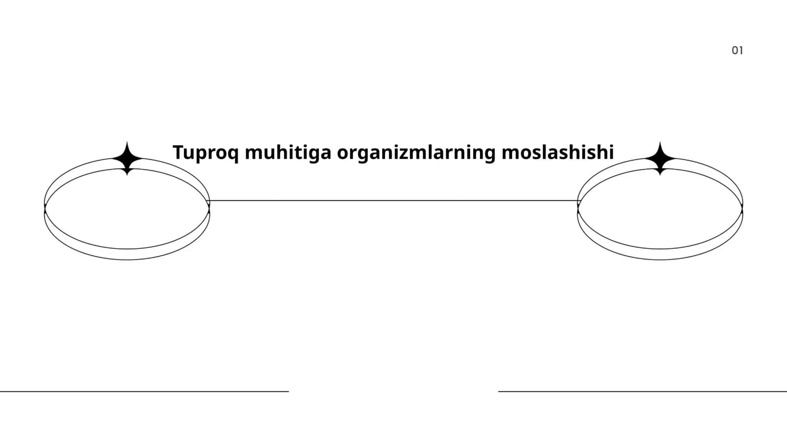 Tuproq muhitiga organizmlarning moslashishi