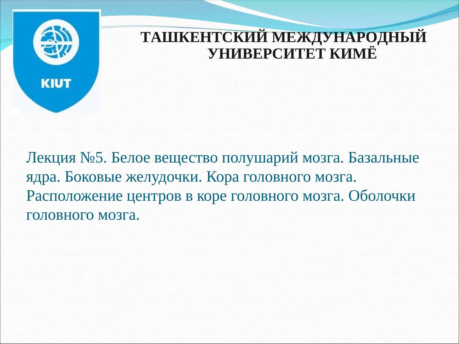 Основные отделы, форма и топография конечного мозга
