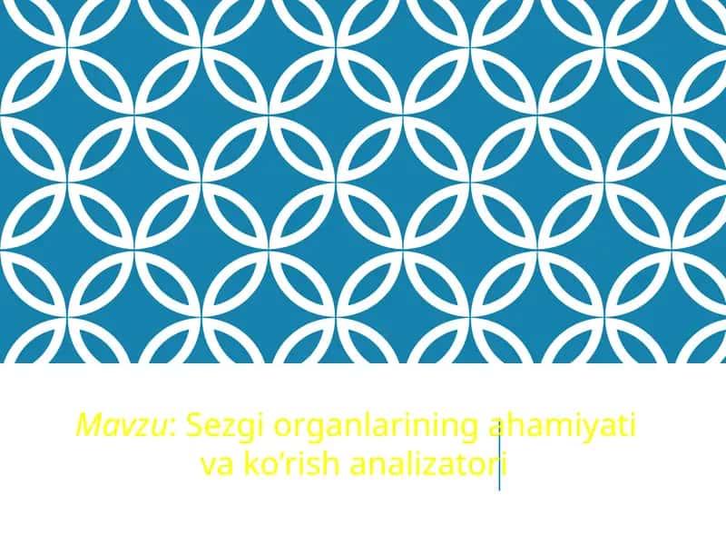 Sezgiorganlariningahamiyativako’rishanalizatori