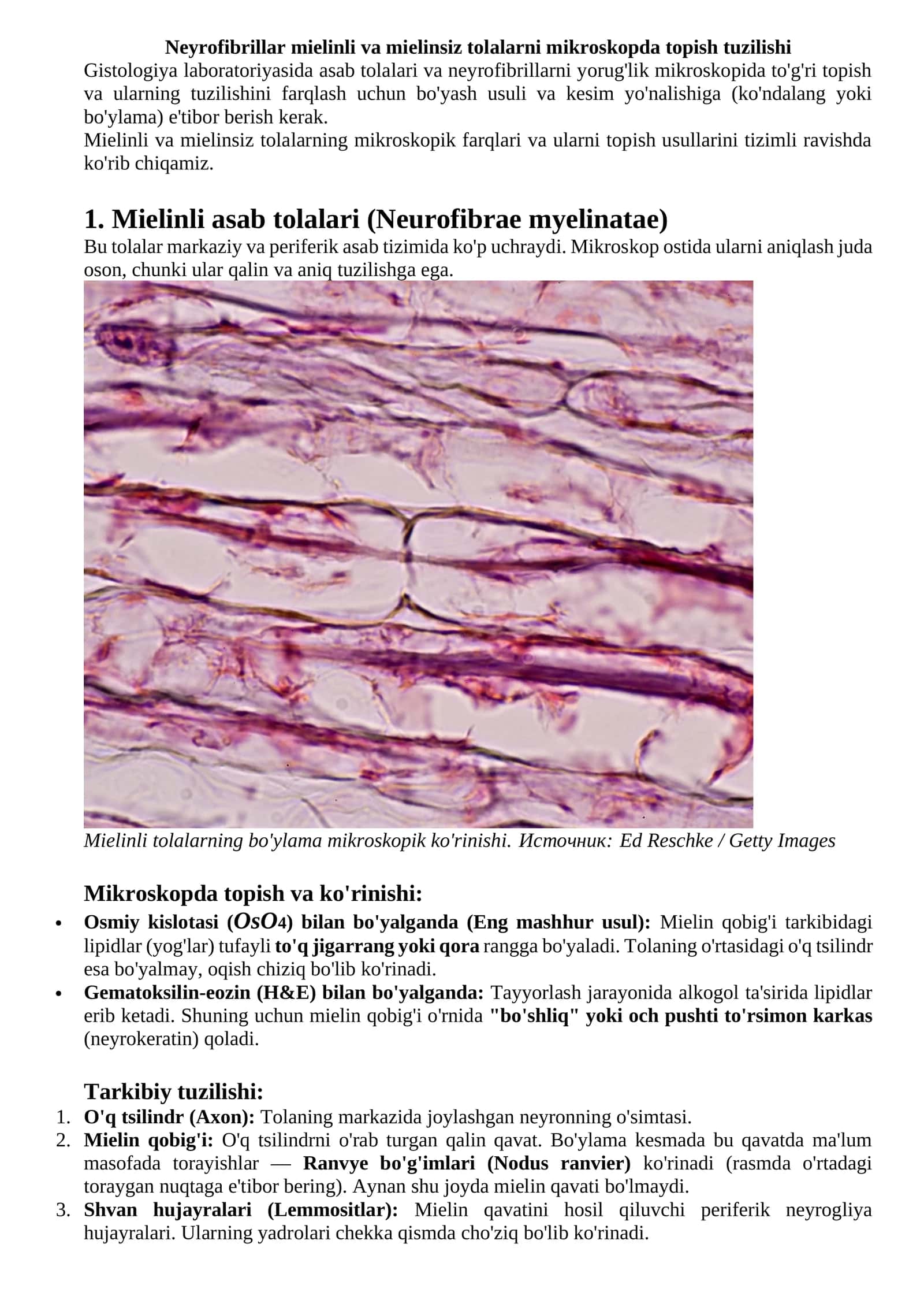 Neyrofibrillar mielinli va mielinsiz tolalarni mikroskopda topish tuzilishi