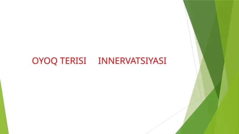 OYOQ TERISI INNERVATSIYASI