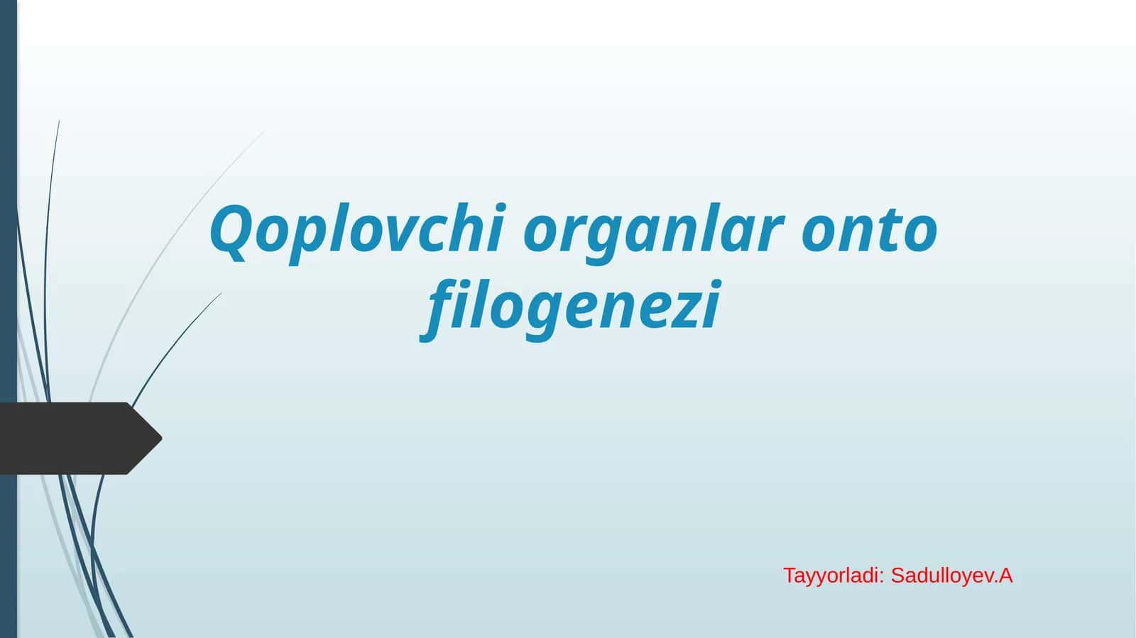 Qoplovchi organlar onto filogenezi.pptx