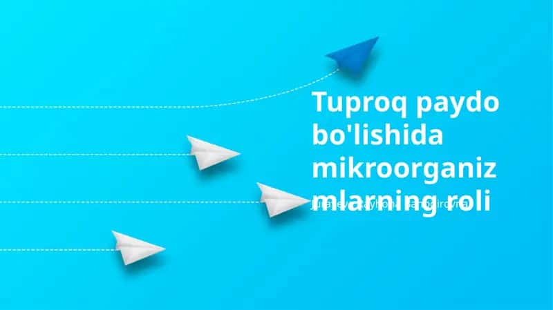 Tuproq paydo bo'lishida mikroorganizmlarning roli