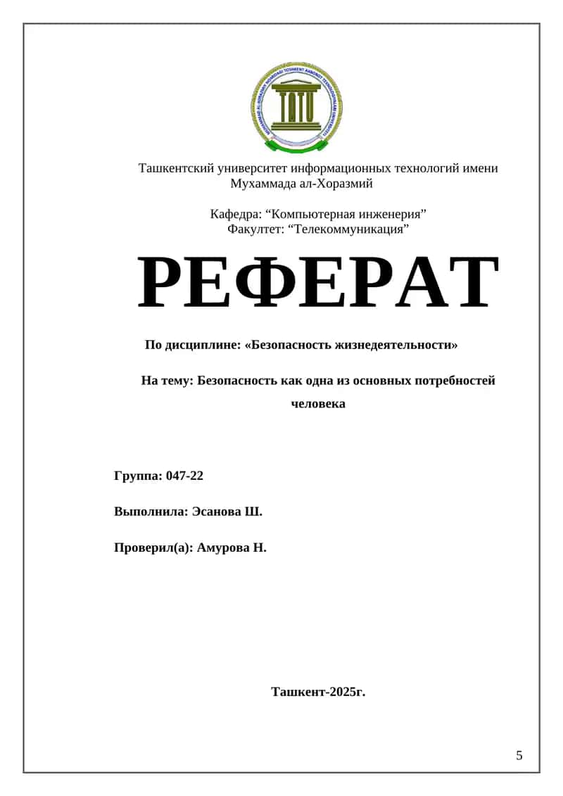 Реферат "Безопасность как одна из основных потребностей"