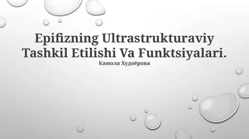 Epifizning Ultrastrukturaviy Tashkil Etilishi Va Funktsiyalari