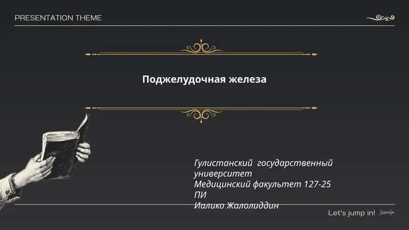 Поджелудочная железа