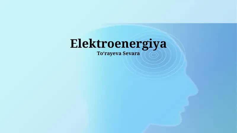 Elektroenergiya