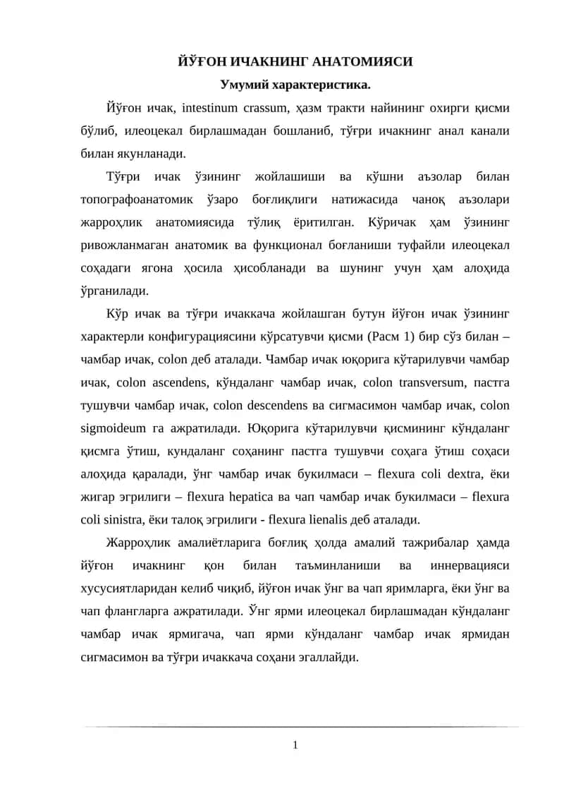 ЙЎҒОН ИЧАКНИНГ АНАТОМИЯСИ
