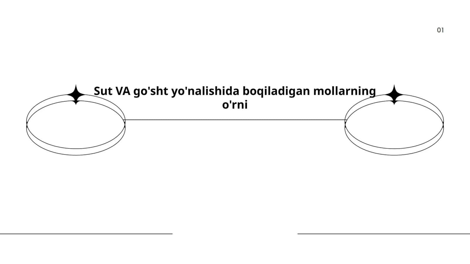 Mol go'shti xususiyatlari