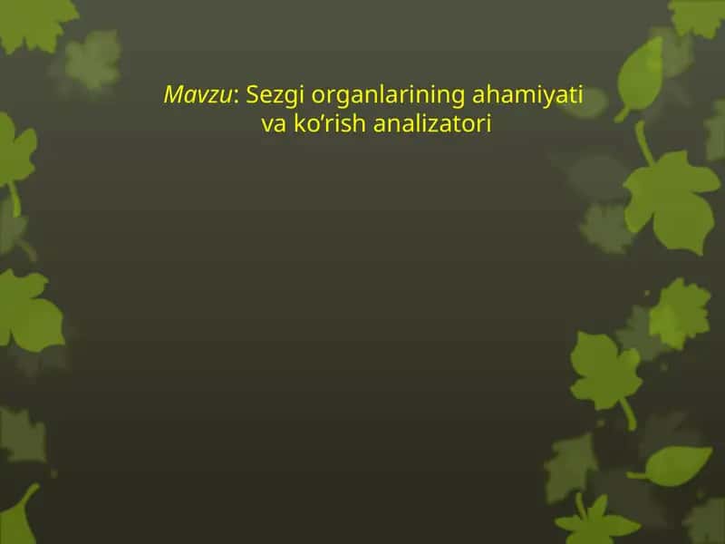 Sezgiorganlariningahamiyativako’rishanalizatori