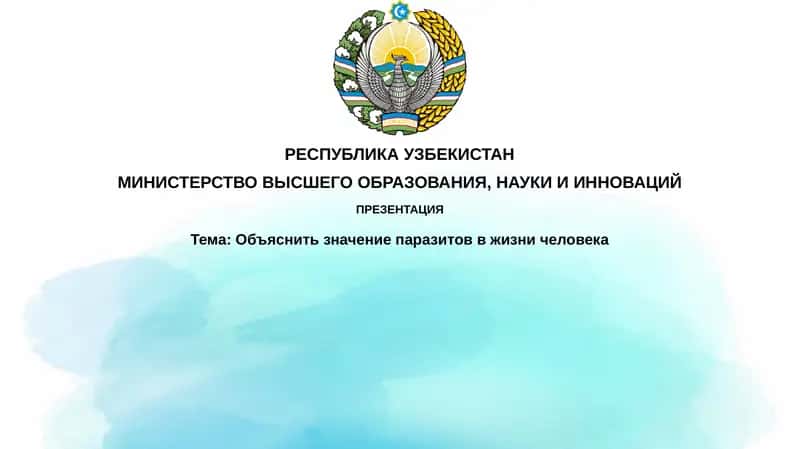 Презентация