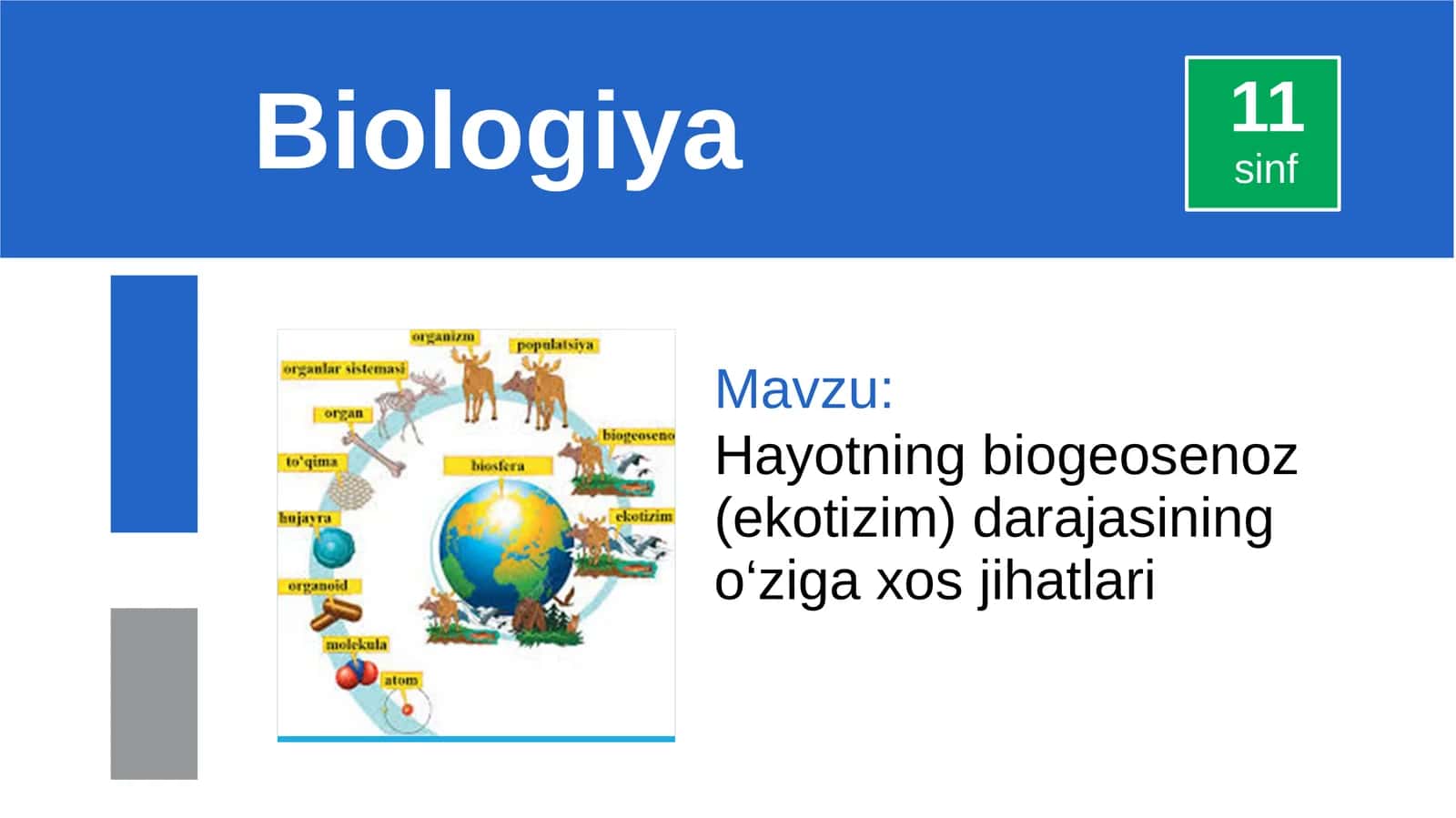 Hayotning biogeosenoz (ekotizim) darajasining o‘ziga xos jihatlari