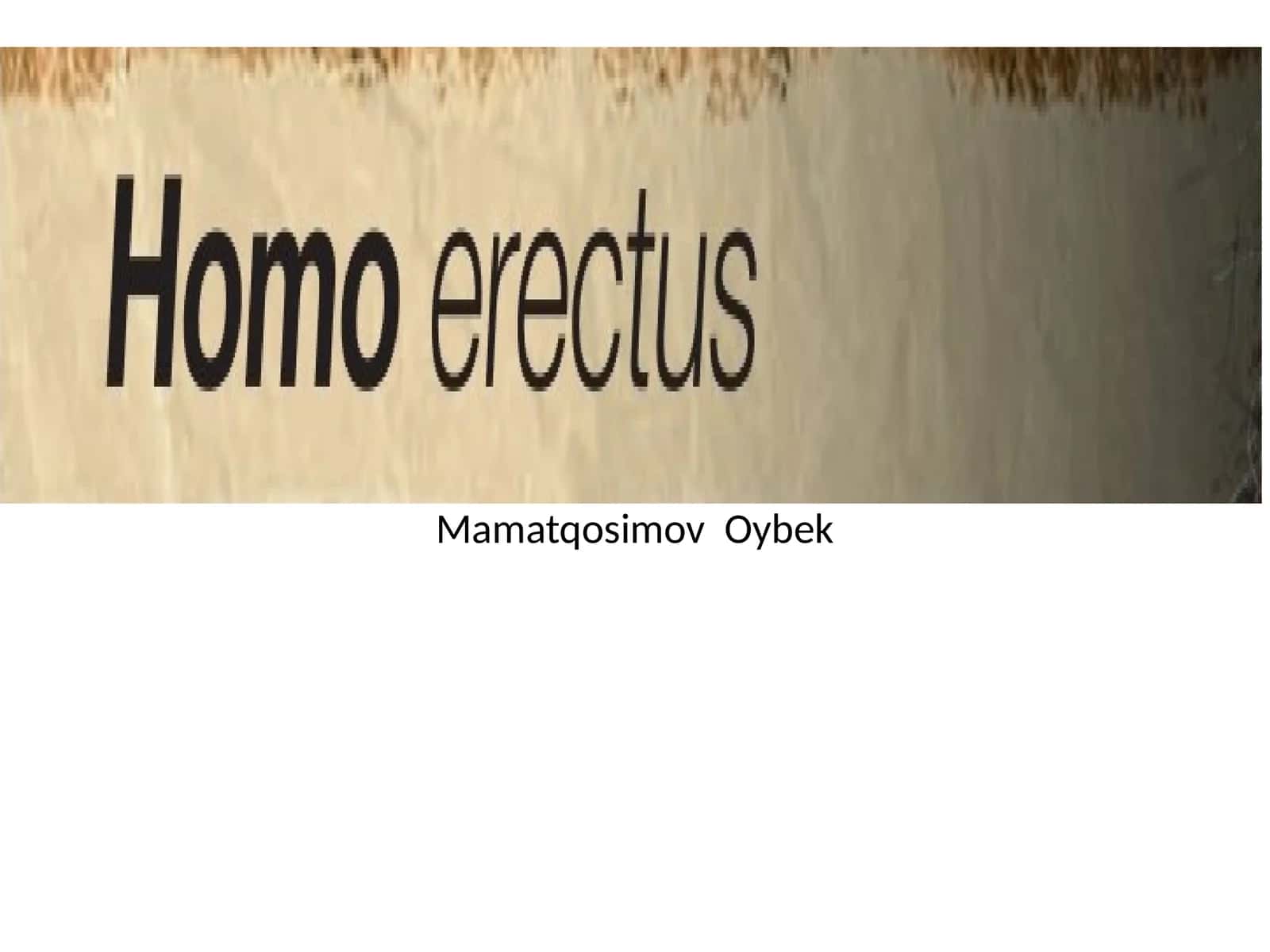 Xitoy hududidan topilgan Homo erectusning bosh chanog'i (Tiklangan)