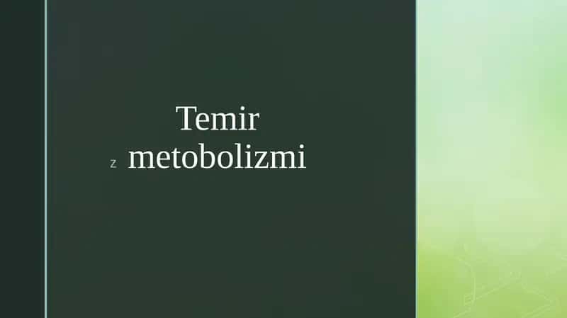 Temir metabolizmi