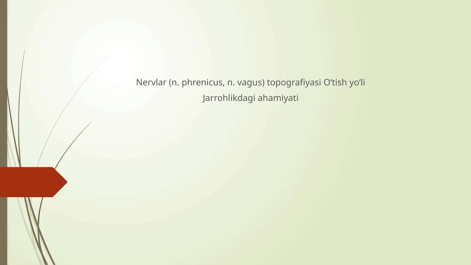 Nervlar(n.phrenicus, n.vagus)topografiyasiO‘tishyo‘li