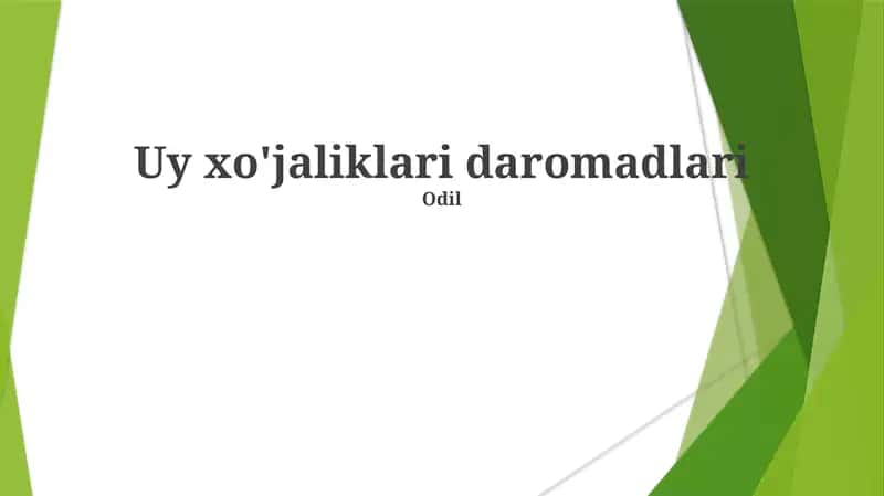 Uy xo'jaliklari daromadlari
