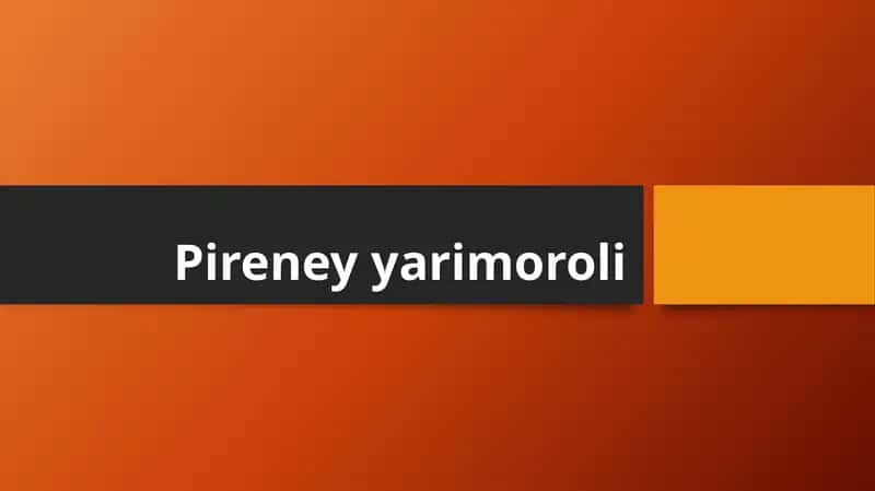 Pireney yarimoroli
