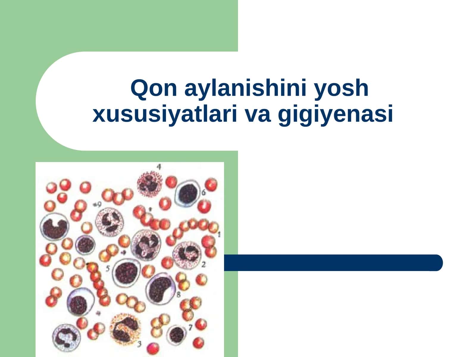 Yurak Muskuili