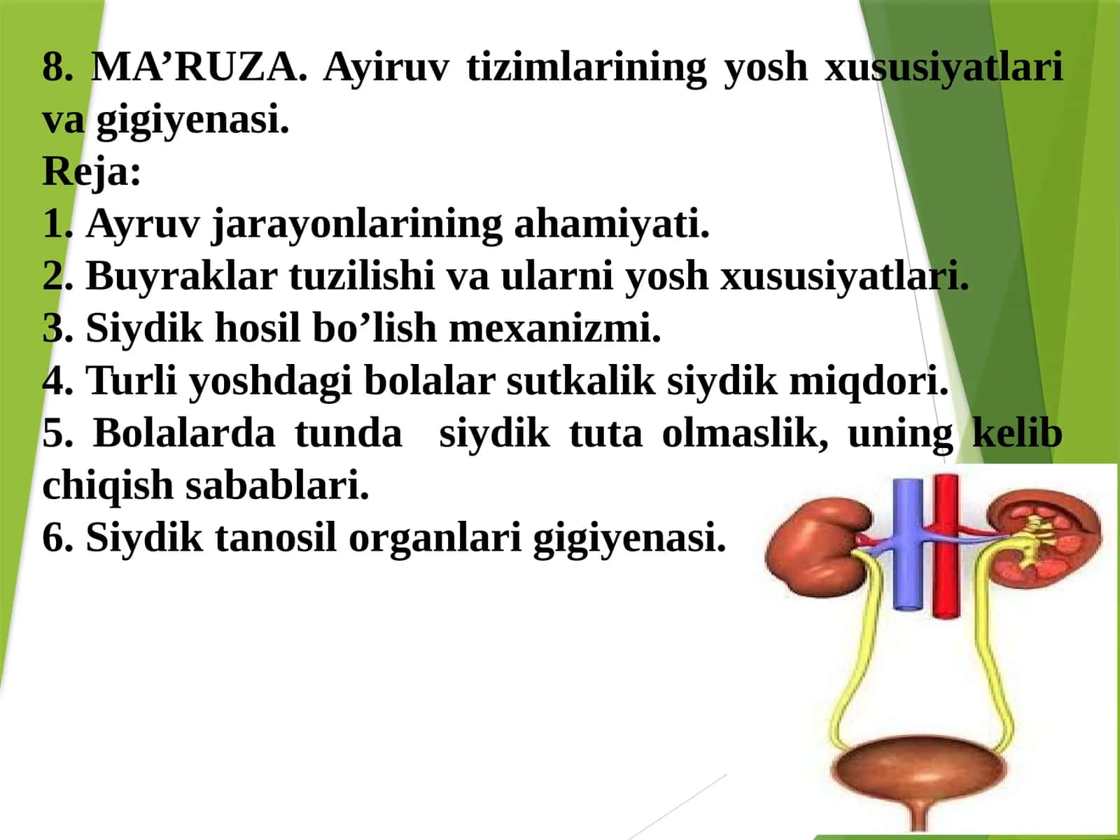 Ayiruv tizimlarining yosh xususiyatlari va gigiyenasi
