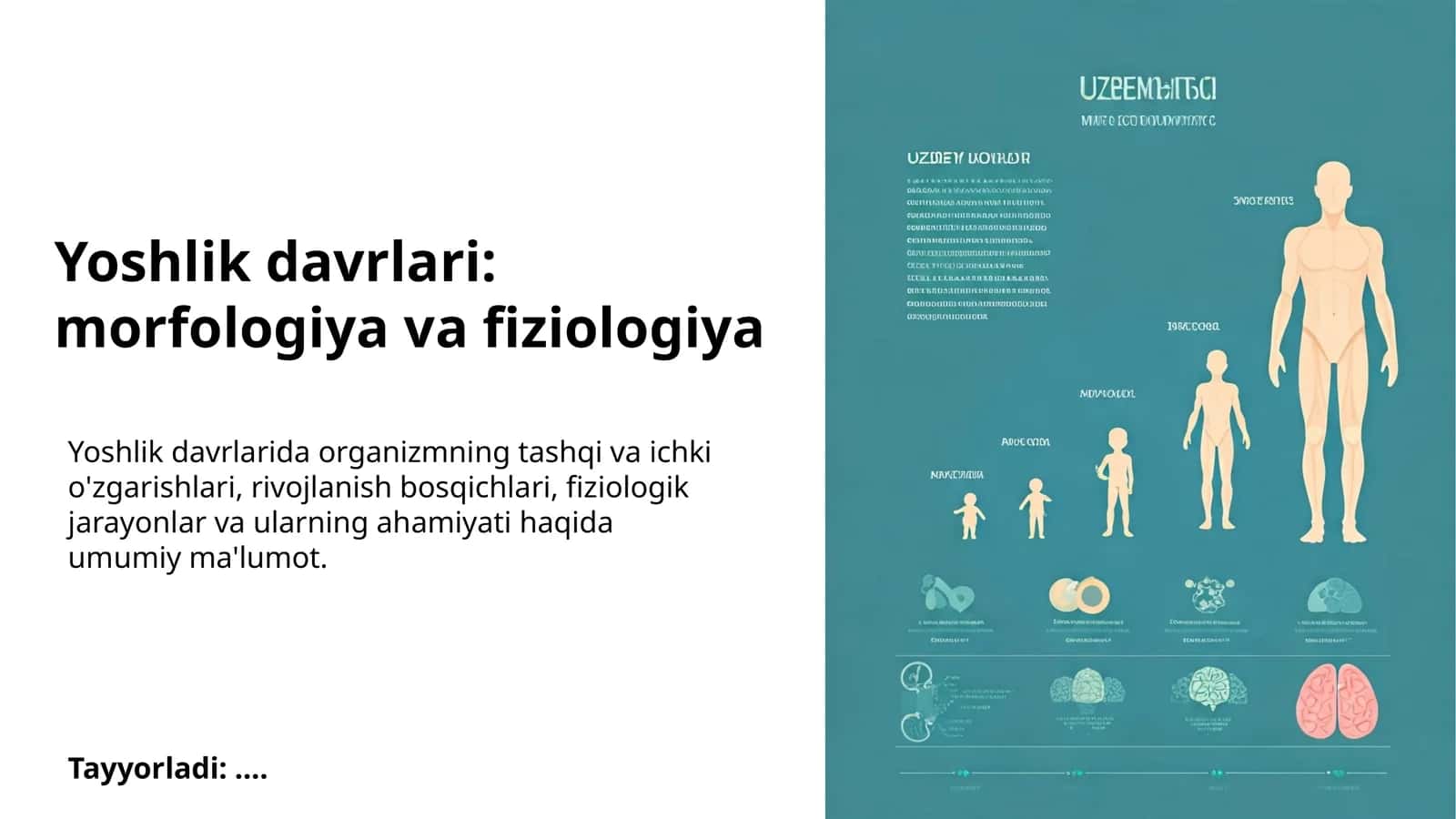 Yoshlik davrlari: morfologiya va fiziologiya