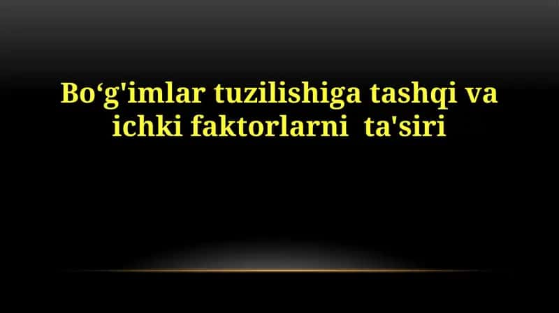 Bo‘g'imlartuzilishigatashqivaichkifaktorlarnita'siri