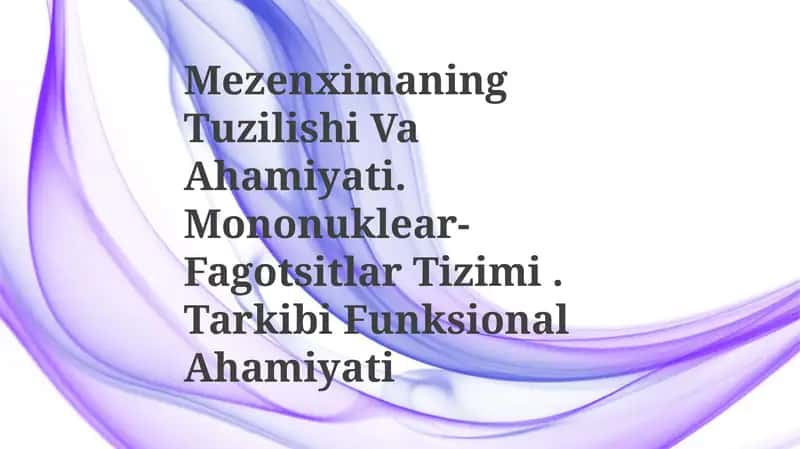 Mezenximaning Tuzilishi Va Ahamiyati