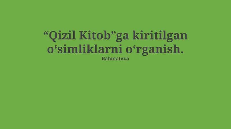 Qizil Kitob