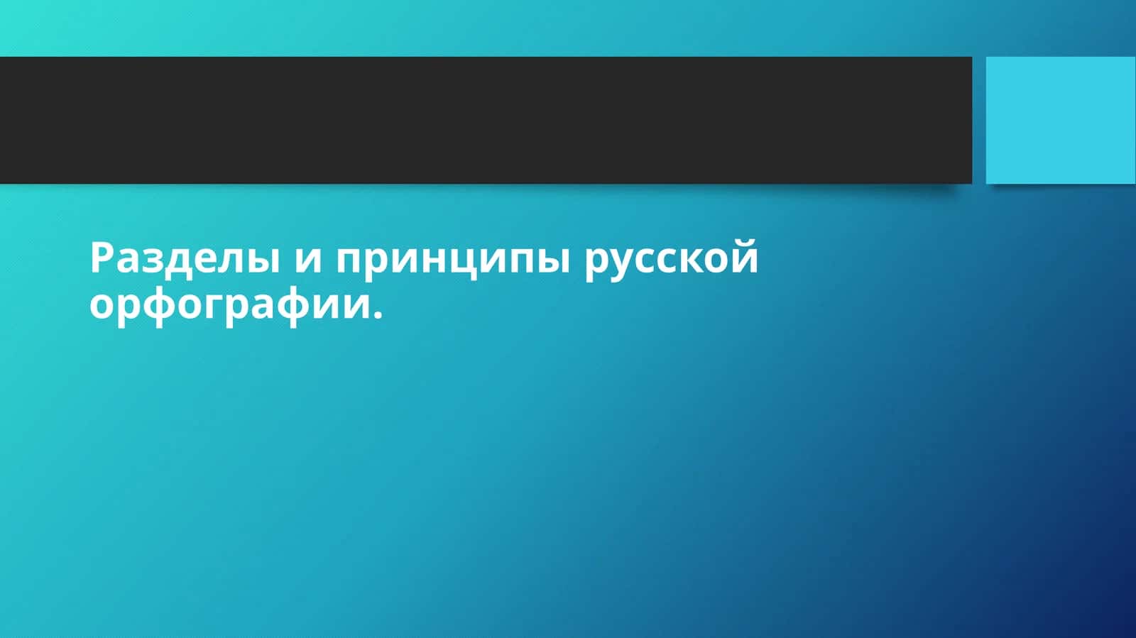 Разделы и принципы русской орфографии